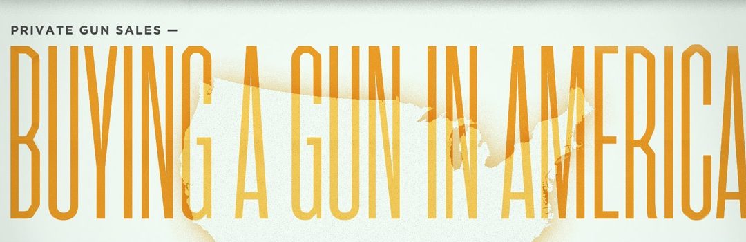 Infographic: Buying a Gun in America